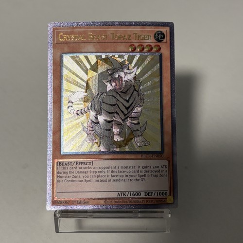 Personalizzato crystal beast - personalizzato|crystal,
